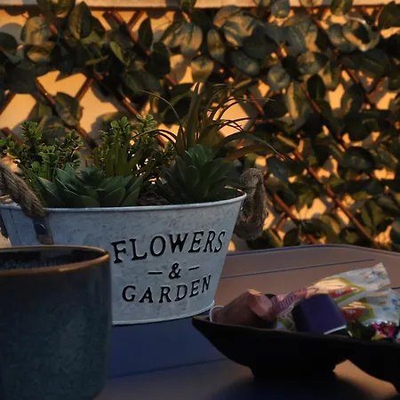 Vaso's Nest At Center Appartement